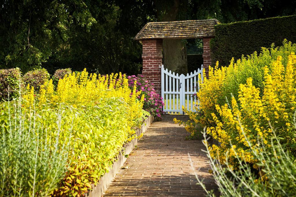 Chateau De Bouelles Bed & Breakfast นูฟชาเตล-ออง-เบร ภายนอก รูปภาพ
